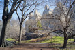 New York's Central Park New York's Central Park