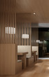 Modern Restaurant Interior / Lounge