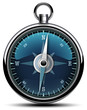 compass blue metalic