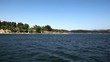Lake and forest