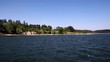 Lake and forest