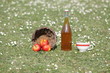cidre,pomme,jus,bretagne,normandie,tonneau,bouteille cidre,pomme,jus,bretagne,normandie,tonneau,bouteille