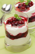 Quark mit roter Grütze