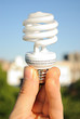 Photo: Energy Efficient Lighbulb Energy Efficient Lighbulb