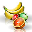 vector fruit