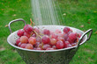 Washing grapes
