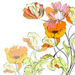 Background with beautiful flowers