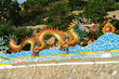 beautiful chinese dragon
