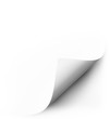 Ilustração: page curl page curl