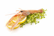 fresh prawns