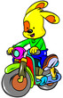 funny puppy
