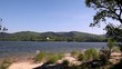 Lake and forest