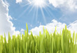 bright day