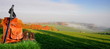 Wandern