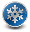 Glossy Icon "Winter Recreation"