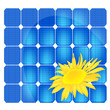 pannello solare con girasole