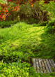 garden sunshine