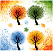 Vector: Four seasons design illustration Four seasons design illustration