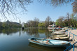 Lake In Cismigiu Park - Bucharest