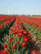 Alternative Energiequelle Windkraft Alternative Energiequelle Windkraft