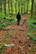 Sentiero nel Bosco