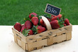 Foto: Bio-Erdbeeren Bio-Erdbeeren