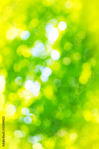 Photo: bokeh bokeh
