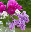 Blumenstrauss