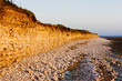 coast of Oleron Island, Poitou-Charentes, France coast of Oleron Island, Poitou-Charentes, France