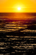 sunset at coast of Oleron Island, Poitou-Charentes, France sunset at coast of Oleron Island, Poitou-Charentes, France