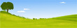 Green landscape with lonely tree