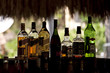 Bouteilles d'alcool dans un bar