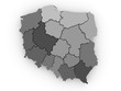Three-dimensional map of Poland. 3d
