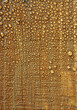 water drops on wood