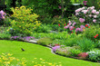 Amsel im Garten