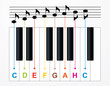 Vector piano keys and notes on black background