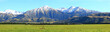 southern alps panorama