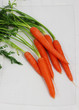 fresh carrot