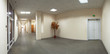 Office building interior corridor maple tree exit