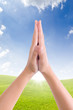 put hands together in salute