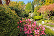 Beautiful Spring garden Beautiful Spring garden