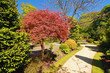Beautiful Spring garden Beautiful Spring garden