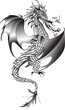 Feuerdrache