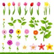 Flower Borders - 8