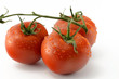 Tomaten