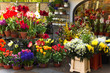 Florist shop with colorful spring flowers