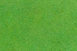 green grass background
