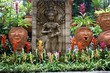 tropical garden