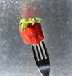 Fragola fresca - Fresh strawberry