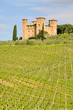 Castello delle quatro torra 05